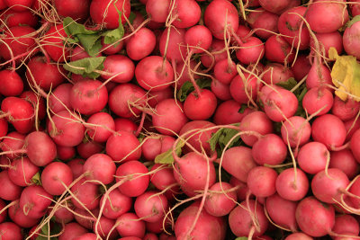 RADISHES