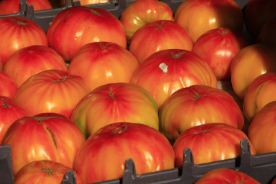 TOMATOES