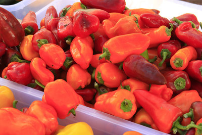 PEPPERS
