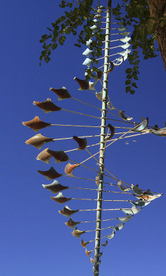 WIND CATCHER