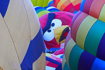 ONE ANGRY BIRD