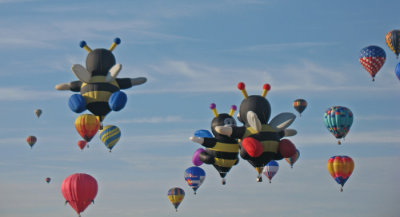 BUMBLE BEES