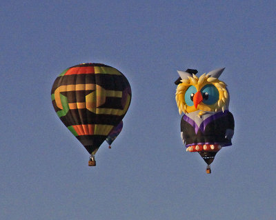 AN OWL AND A ?