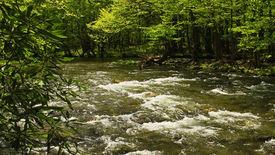 TENNESSEE MOUNTAIN STREAM