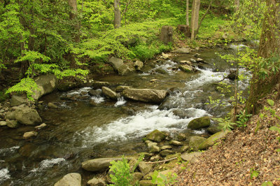 MOUNTAIN STREAM