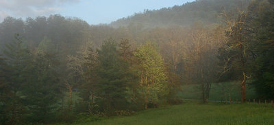 FOGGY MORNING IN CADES COVE