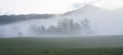 SMOKY MOUNTAINS IN THE MORNING