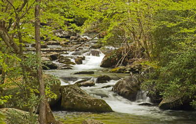 FLOWING STREAM