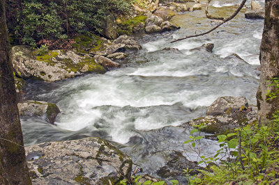 FLOWING STREAM