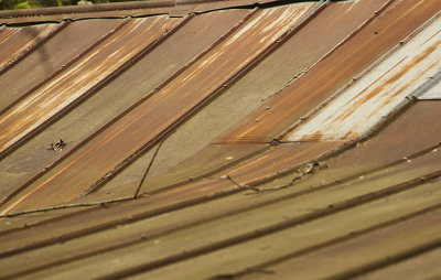 VACANT COTTAGE ROOF II