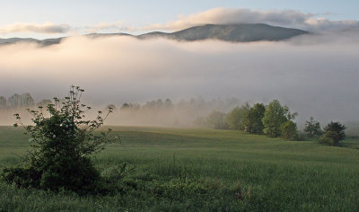 MORNING FOG