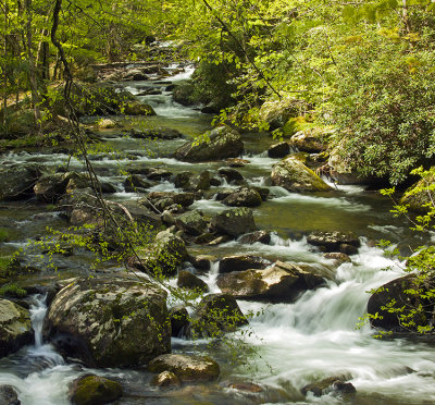MOUNTAIN STREAM