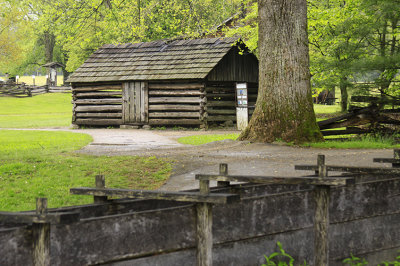 SHED IX
