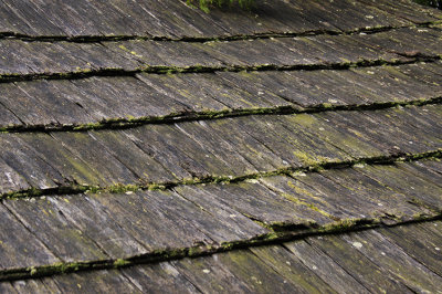 SHED ROOF X