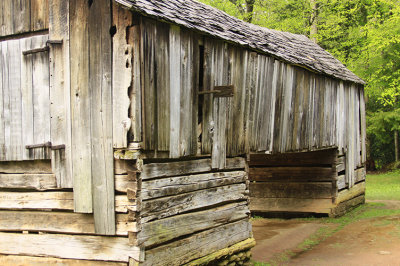 DOUBLE STALLED BARN XII