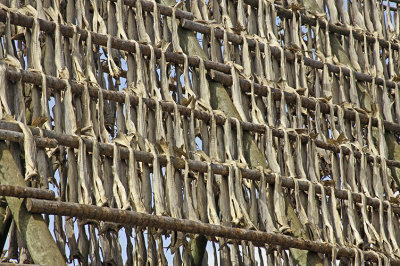 COD: DRYING