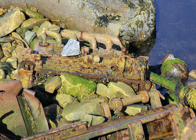 OCEAN JUNK