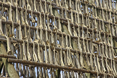 COD HANGING TO DRY