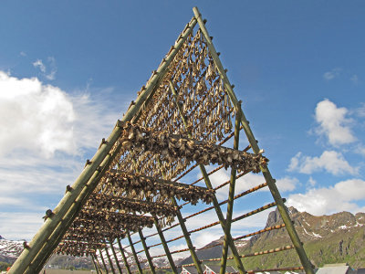 COD DRYING RACKS
