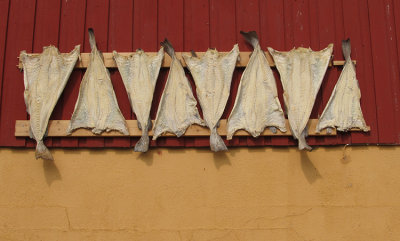 A HOUSEHOLD COD DRYER