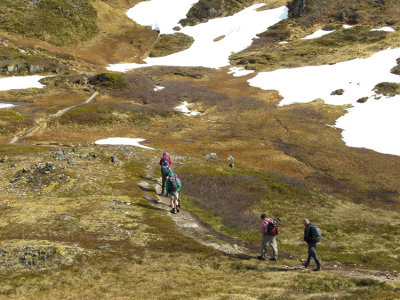 WALKING PAST SNOW FIELDS