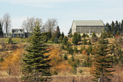 farm in the fall.jpg