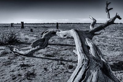IMGP4728-Edit-2.jpg