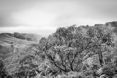 Apollo Bay storm