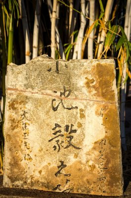 pearl divers graves 2