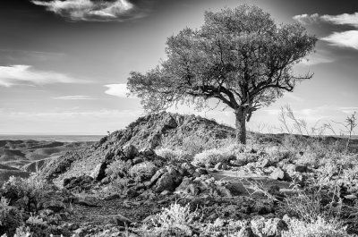 Northern Flinders Ranges / Arkaroola