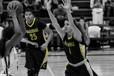 Central Arizona vs Pima Community Women's Basketball