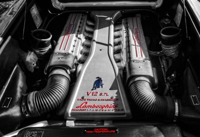 g9/78/932678/3/164563724.9hDIY0Jz.jpg