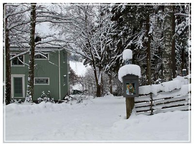 Houses  In My Neighbourhood