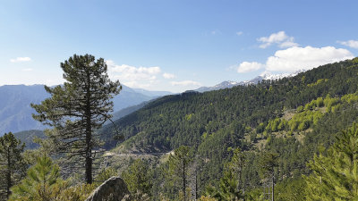 Col de Sorba, Corsica, France