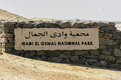 Wadi El Gemal