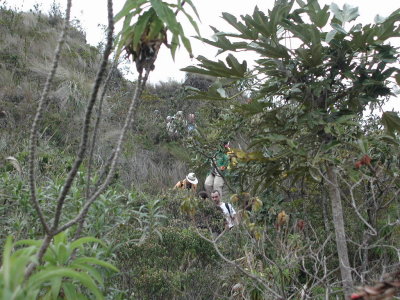 Wanderung am Kraterrand der Lagune Cuicocha