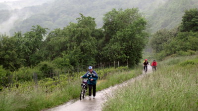 IMG_2797.jpg