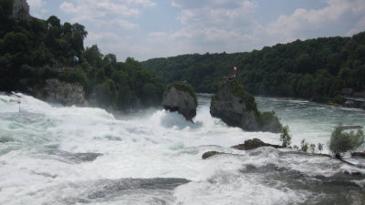 IMG_2869.jpg