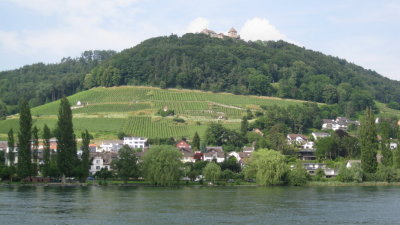 IMG_2872.jpg