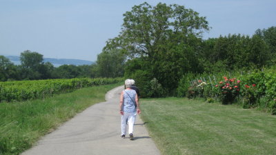 IMG_2873.jpg