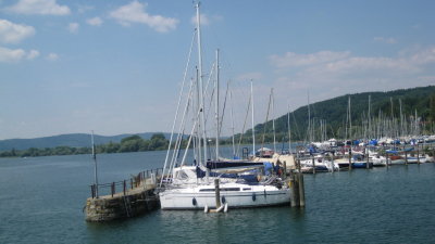 IMG_2875.jpg