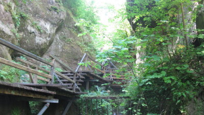 IMG_2877.jpg