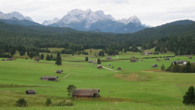 IMG_2945.jpg