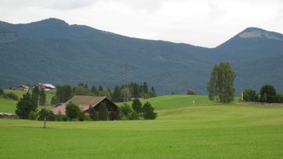 IMG_2943.jpg