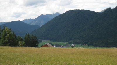 IMG_2974.jpg