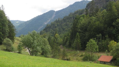 IMG_2970.jpg