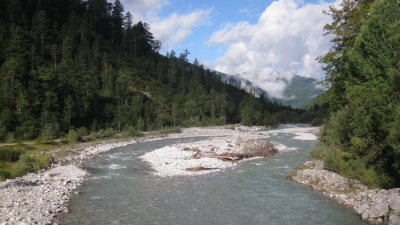 IMG_2958.jpg