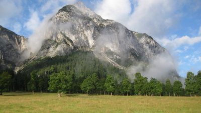 IMG_2954.jpg