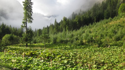 IMG_2953.jpg