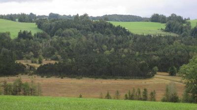 IMG_2980.jpg